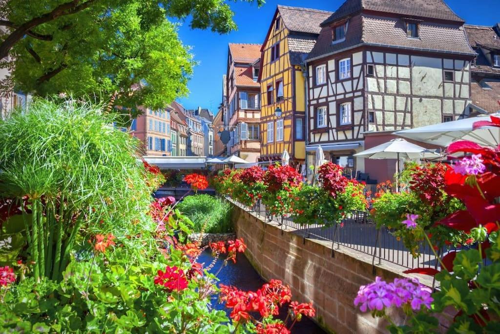 Ferienwohnung Mulhouse En Douceur, Hypercentre De Mülhausen Exterior foto